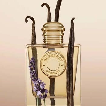 Burberry Goddess EDP